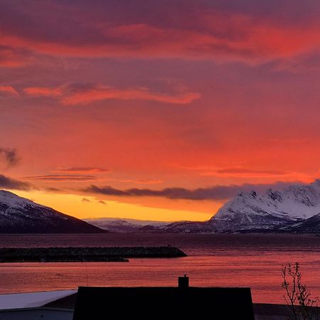 Loftsleilighet Midt I Sentrum Skjervoy エクステリア 写真