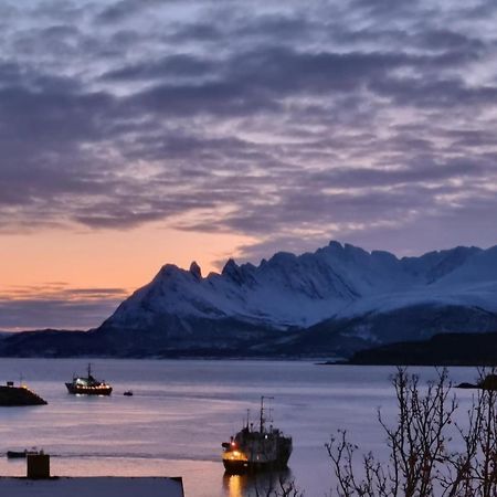 Loftsleilighet Midt I Sentrum Skjervoy エクステリア 写真