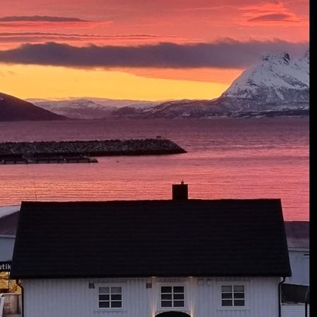 Loftsleilighet Midt I Sentrum Skjervoy エクステリア 写真
