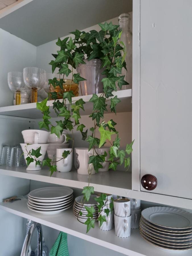 Loftsleilighet Midt I Sentrum Skjervoy エクステリア 写真