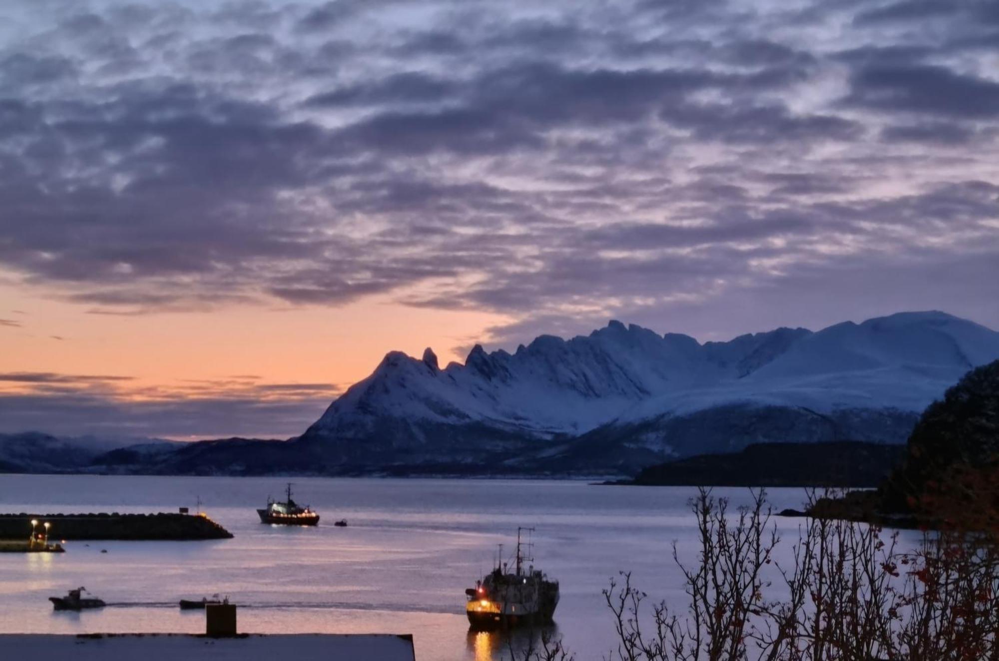 Loftsleilighet Midt I Sentrum Skjervoy エクステリア 写真